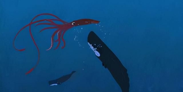 深海1000米水下的“北海巨妖”，能和抹香鲸掰手腕，是什么生物？