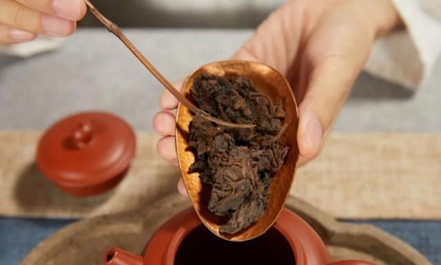 详解：什么是普洱茶老茶头，它是怎么形成的，老茶头怎么泡好喝