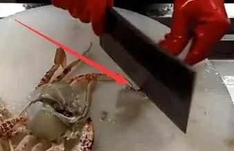 螃蟹买回来怎么处理干净，螃蟹买回来怎么处理？图6