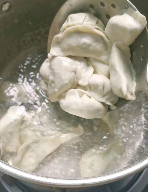 我做的饺子皮用盐水和面还有碱水，为什么放到冰箱速冻会裂开