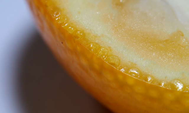 一个讨论：吃金橘到底要不要剥皮？