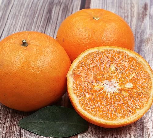 芦柑沃柑橙子橘子的区别