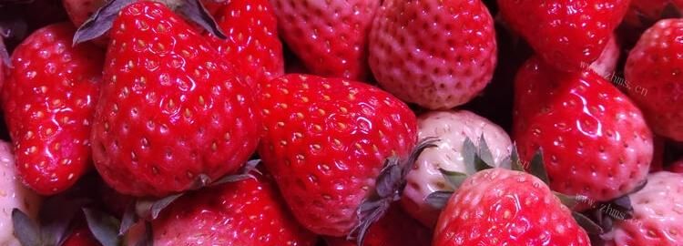 草莓要放冰箱里吗
