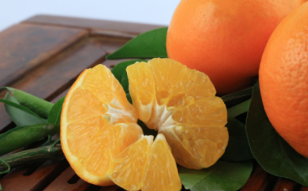 沃柑是橘子还是橙子 是由橙子和橘子杂交来的