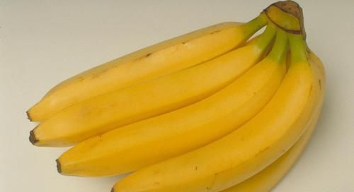 世界上素有“香蕉国”之称的主要香蕉出口国之一是哪个国家