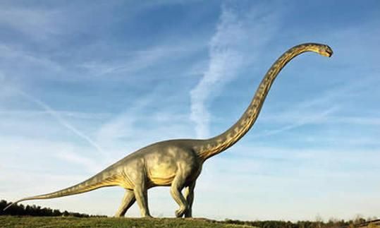 最出名的几种大恐龙