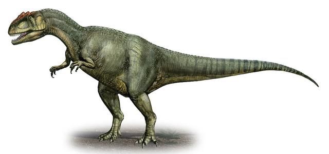 最出名的几种大恐龙
