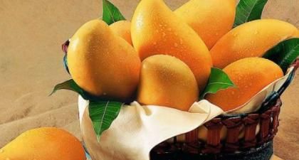 芒果放着会自然熟吗，不熟的芒果放冰箱以后还会熟吗？图5