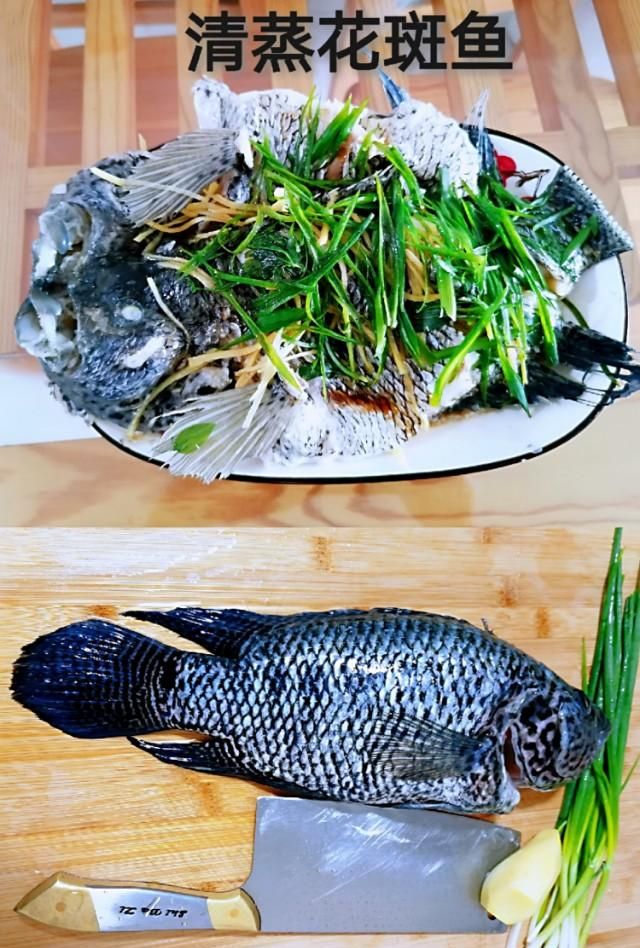 美味营养粤菜：清蒸花斑鱼