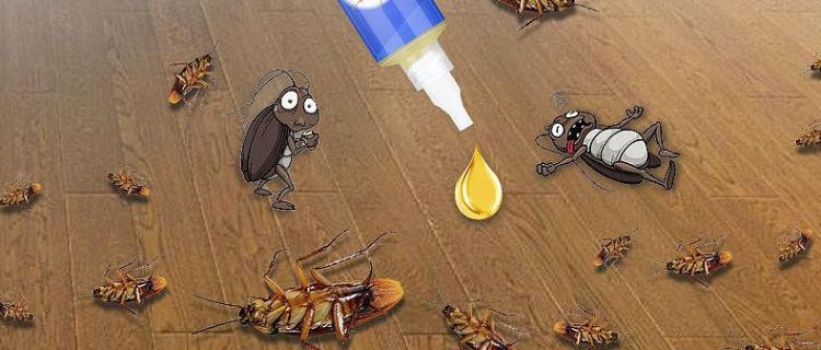 如何灭蟑螂灭蟑螂最有效的方法