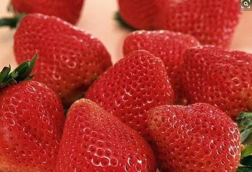 春天草莓怎么保存