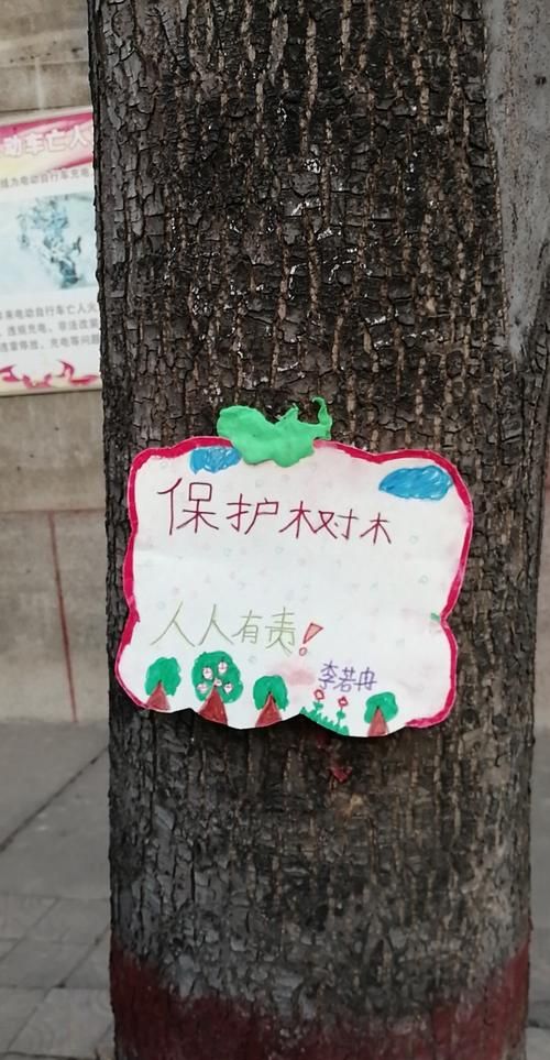 保护古树名木宣传标语