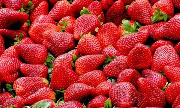 过年送草莓代表什么意思