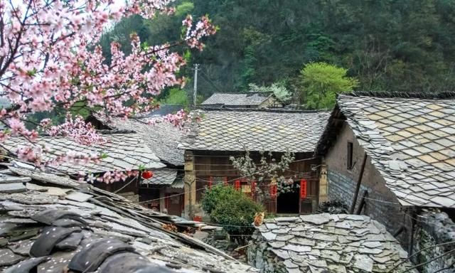 ​半城樱花半城瀑布！贵州这座被低估的宝藏小城，3月到5月满城花海