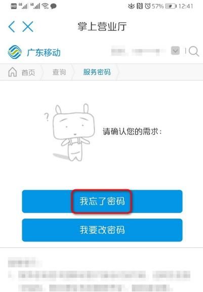 怎么修改移动手机服务密码，如何获得修改重置中国移动手机服务密码？图7