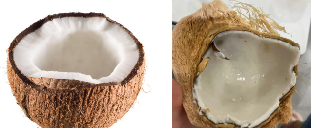 如何分辨椰子水坏没坏，怎么分辨椰子有没有坏？图1