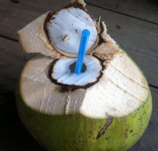 如何分辨椰子水坏没坏，怎么分辨椰子有没有坏？图2