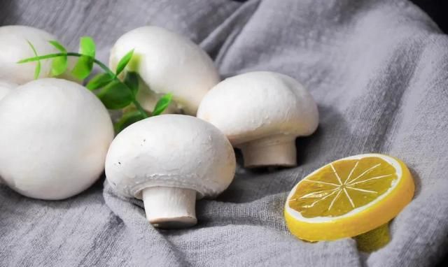 生活小常识 | 白蘑菇变黑了还能吃吗？如何保存白蘑菇？