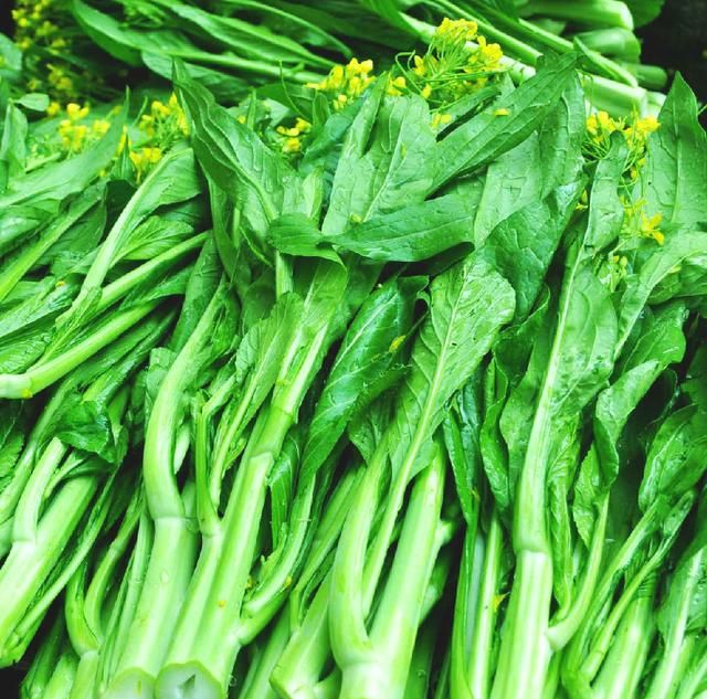 营养最丰富的十种绿叶蔬菜