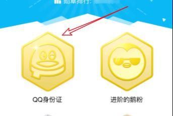 怎么查看qq身份证，怎么查看QQ身份证？图4
