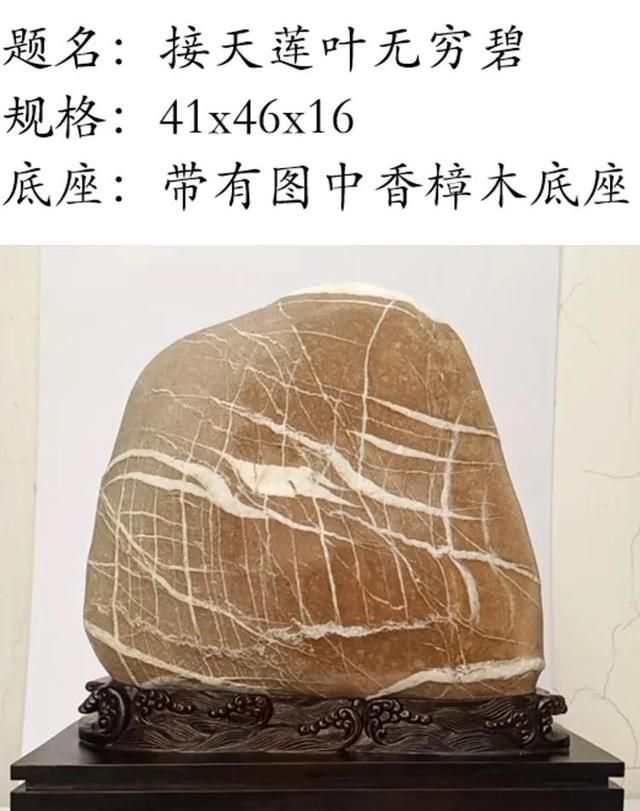 欣赏云南省罗自昌先生收藏的怒江奇石