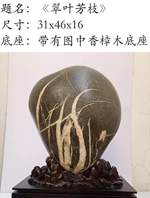 欣赏云南省罗自昌先生收藏的怒江奇石