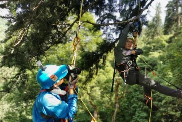83.4米，中国第一高树的等身照来了