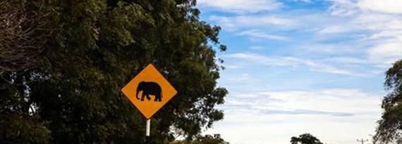高速上的大象图案什么意思，高速路上的大象图标是什么意思？图1