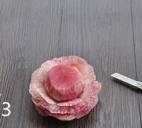 雕刻萝卜花的做法步骤(烹饪雕刻萝卜花教程)图14