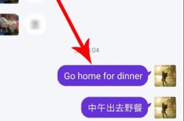 手机QQ国际版怎么翻译，qq聊天怎么翻译英文，怎么把英文翻译成中文？图3