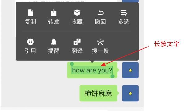 怎样在微信中聊天把英文翻译中文，微信聊天如何把英文翻译成汉语？图1