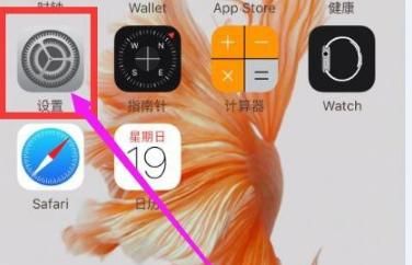 怎么才能让苹果手机桌面上的小白圈显示，苹果手机那个圆圈怎么设置？图1