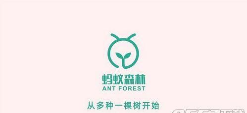 蚂蚁森林怎样让能量多 蚂蚁森林获取刷绿色能量方法
