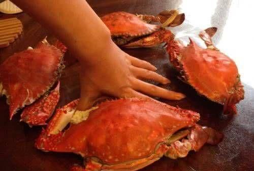 水煮螃蟹时，你知道应该冷水上锅还是热水上锅呢？