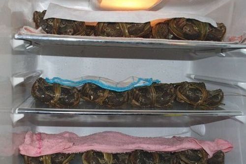 螃蟹活着放冰箱冷冻后还能吃吗
