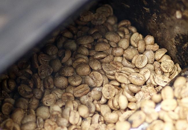 生咖啡豆怎样做才能喝