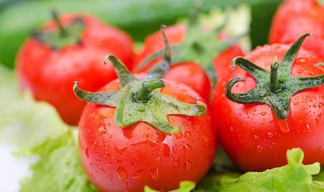 催熟剂必不可少了吗？经过催熟的番茄，对人的身体有多大影响？