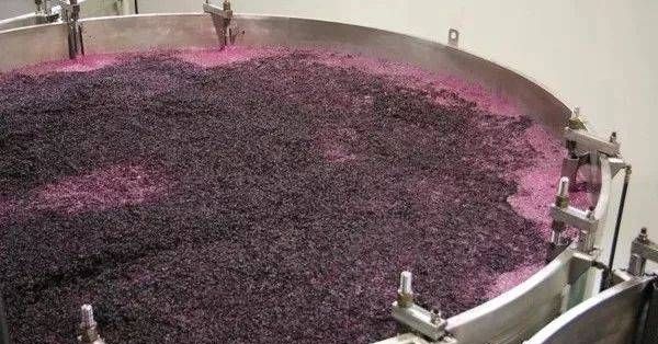 葡萄酒酿造发酵一般需要多长时间