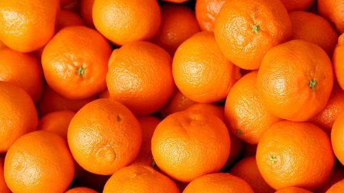 橙色的水果有哪些