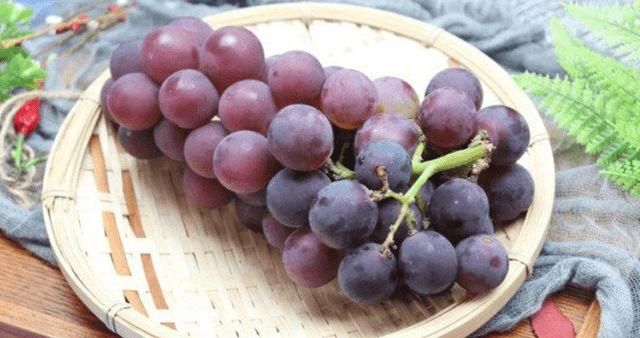 为什么秋天的葡萄成熟了