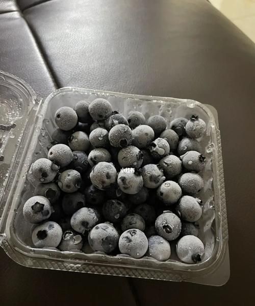 冻蓝莓化开了还能吃吗