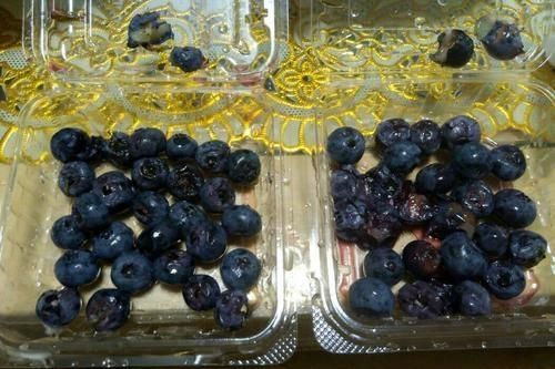 冻蓝莓解冻了还能吃吗