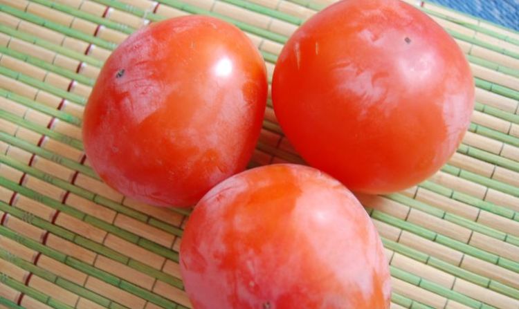 柿子是热带水果吗