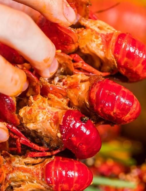 澳洲龙虾的钳子能吃吗
