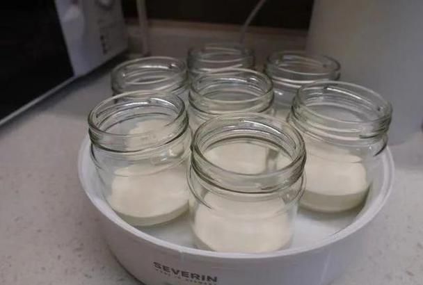 酸奶机自制酸奶最简单的方法