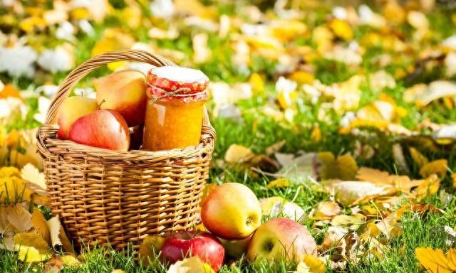 各种水果成熟时间 水果上市时间表 一年四季水果时间表
