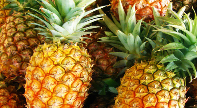 懂行的人买菠萝，遇到这5种，再便宜也不买，老板：我自己也不吃