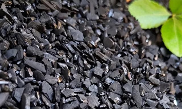 活性炭的“真面目”｜活性炭与木炭是同一种东西吗？
