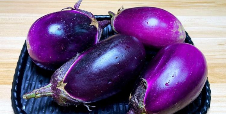 紫色长茄怎么做好吃