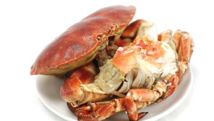 面包蟹能吃死的吗 面包蟹死了多久还能吃
